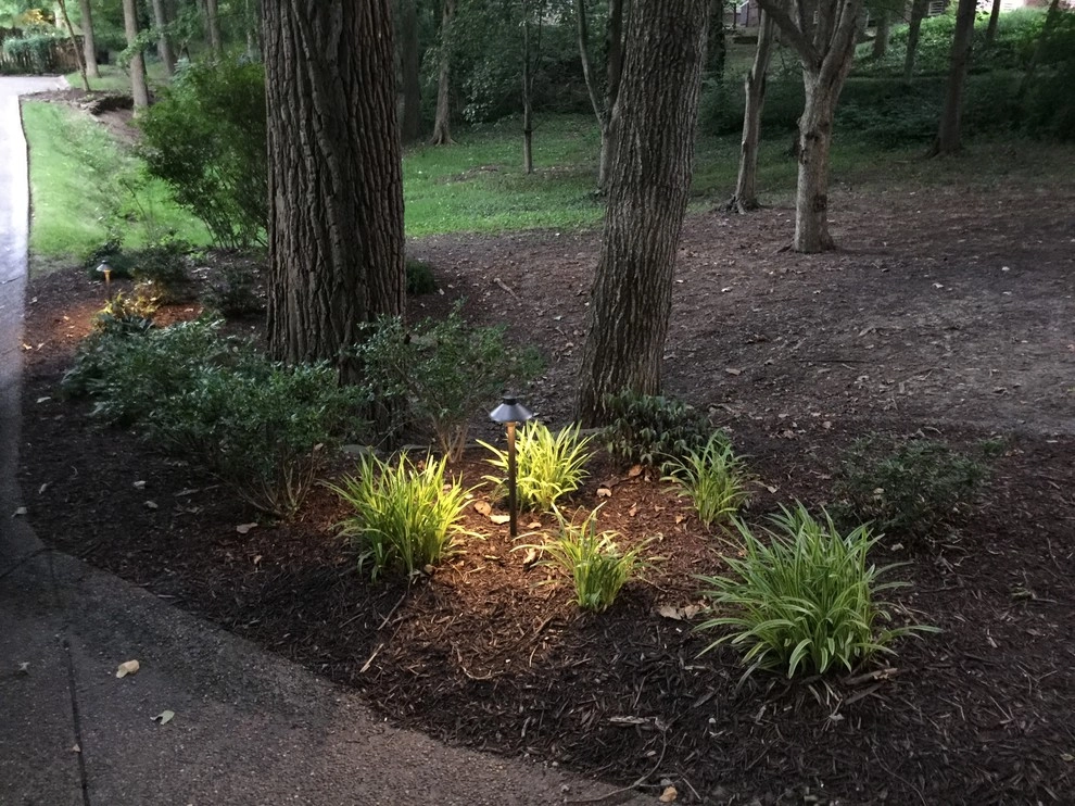 Colored LED lighting by VIVID Landscape & Lighting - Photo 3