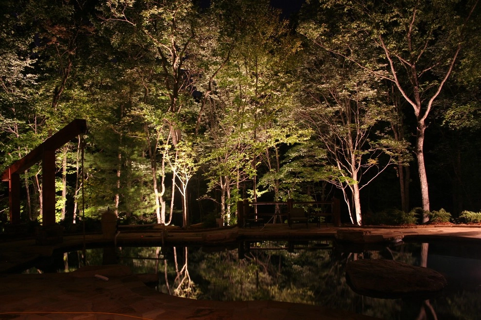 LED Landscape Lighting by VIVID Landscape & Lighting - Photo 2