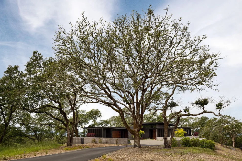 Shiloh Grove by Zimmerman Miller Montanari - Photo 4