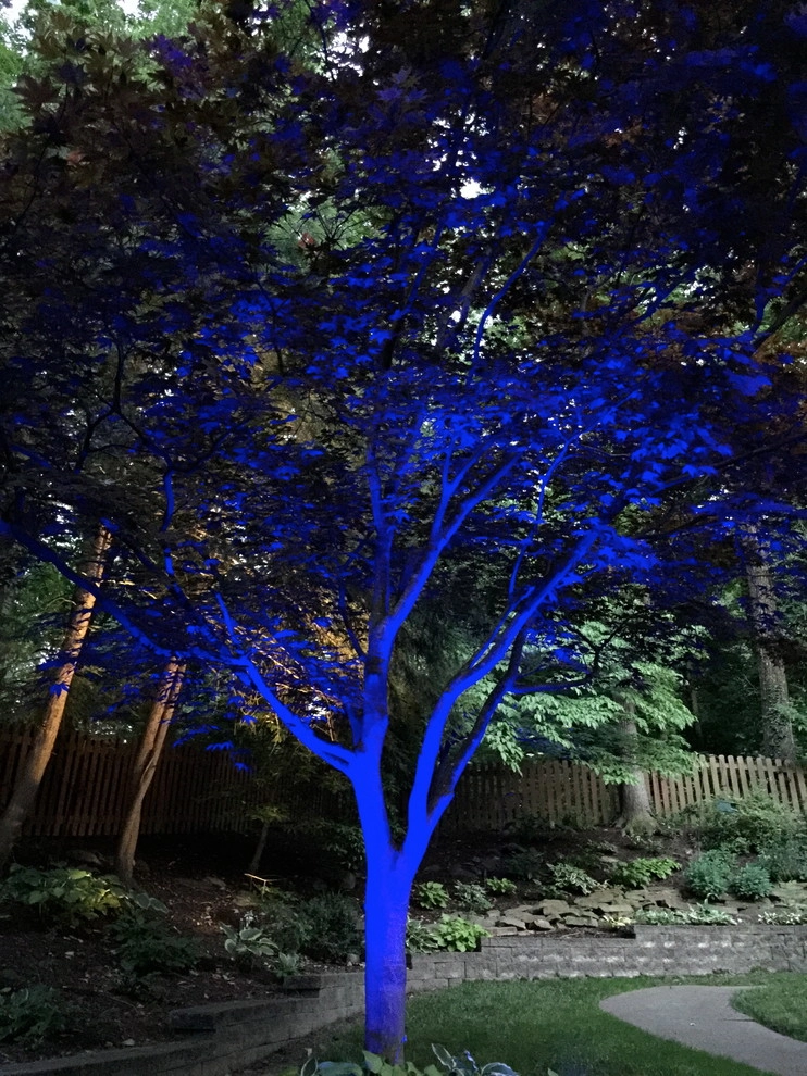 Colored LED lighting by VIVID Landscape & Lighting - Photo 39