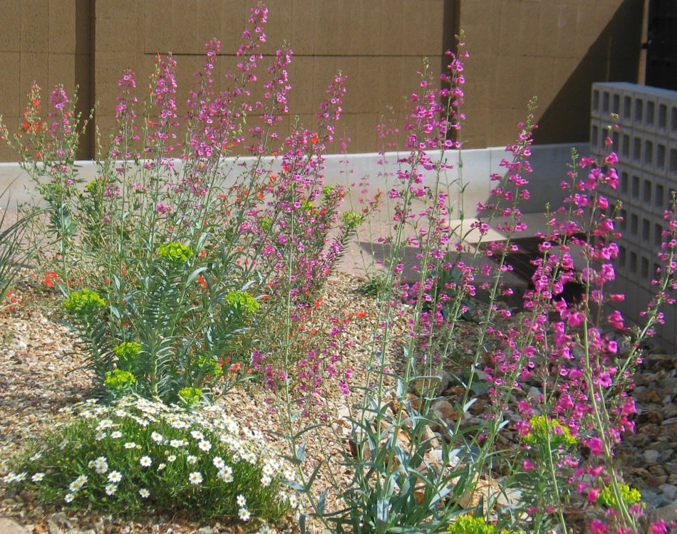 Waibel & Associates Landscape Architecture - Photo 13