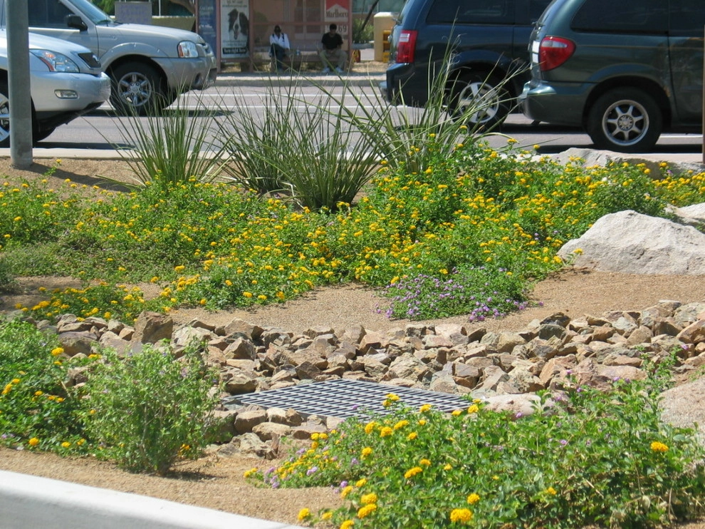 Water Conservation by Waibel & Associates Landscape Architecture - Photo 3