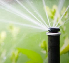 Water Conservation by Waibel & Associates Landscape Architecture - Photo 5