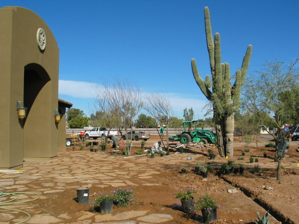 Desert - Sustainable Landscape by Waibel & Associates Landscape Architecture - Photo 3