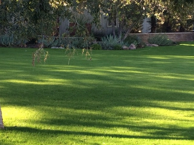 Turf Renovation! by Waibel & Associates Landscape Architecture - Photo 5