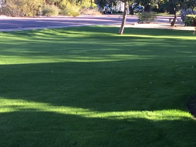 Turf Renovation! by Waibel & Associates Landscape Architecture - Photo 3