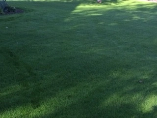 Waibel & Associates Landscape Architecture - Photo 10