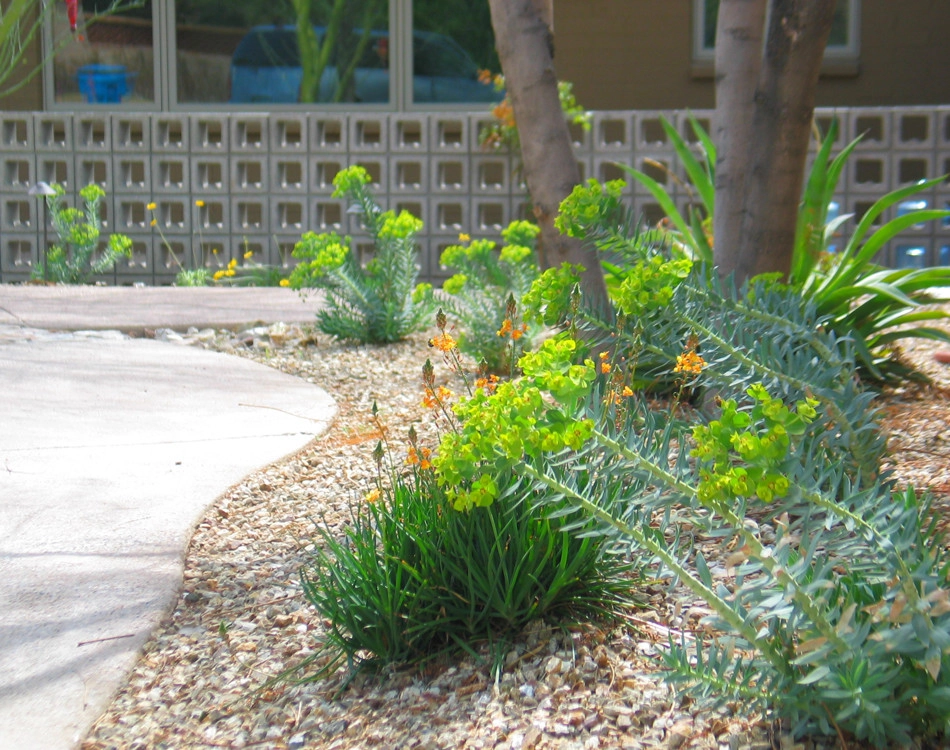 Home & Garden Remodel by Waibel & Associates Landscape Architecture - Photo 9