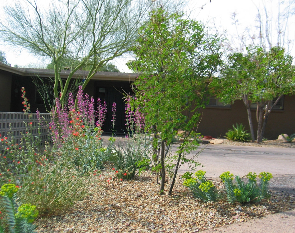Home & Garden Remodel by Waibel & Associates Landscape Architecture - Photo 4