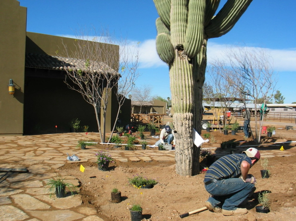 Desert - Sustainable Landscape by Waibel & Associates Landscape Architecture - Photo 2
