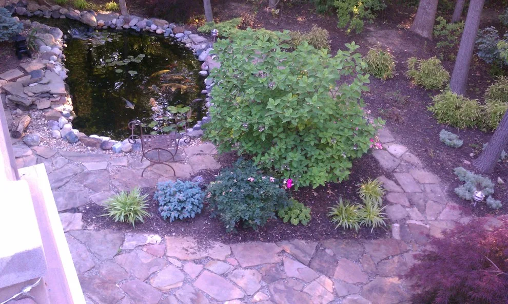 Mediterranean Made Easy by James L Holley, Professional Designer - Photo 3