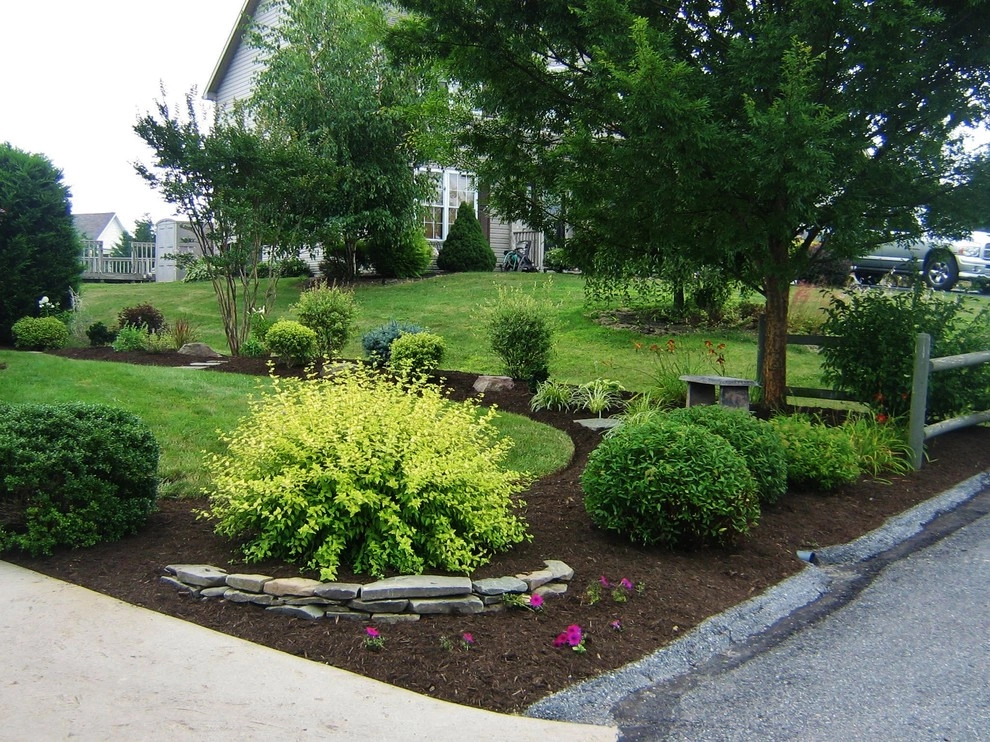 Weavers Plant Favorites by Weavers Landscape Company - Photo 22