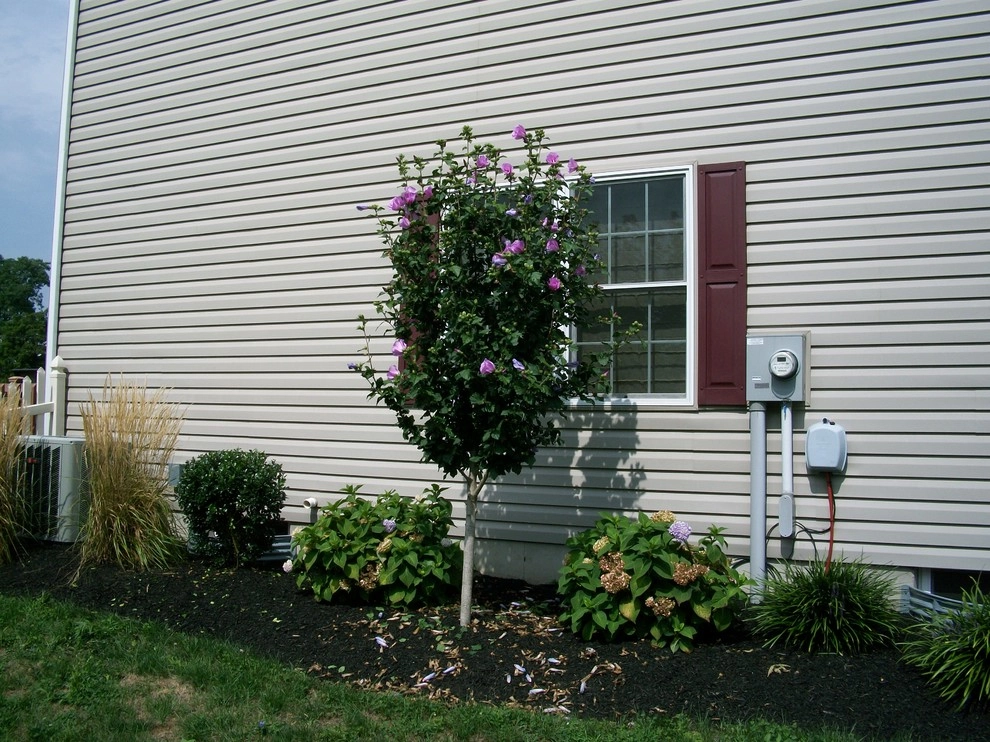 Weavers Plant Favorites by Weavers Landscape Company - Photo 19
