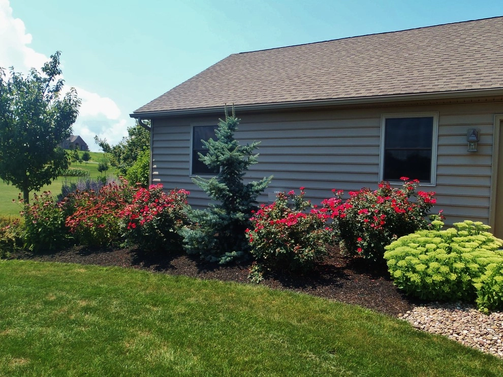Weavers Plant Favorites by Weavers Landscape Company - Photo 3
