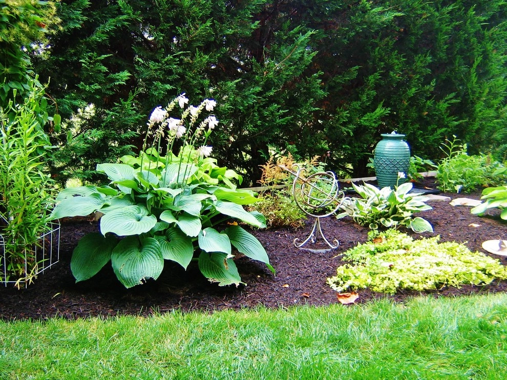 Weavers Plant Favorites by Weavers Landscape Company - Photo 14