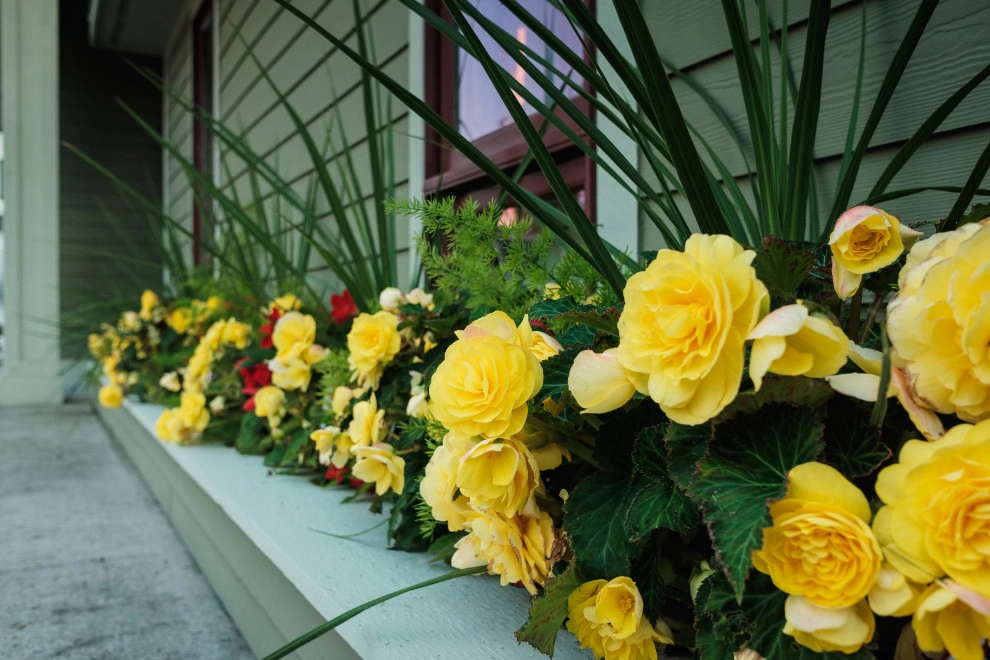 Annual Plantings by Weesies Bros. Garden Centers & Landscaping - Photo 5