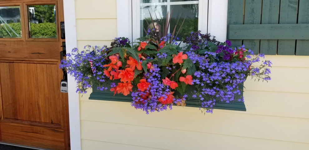 Annual Plantings by Weesies Bros. Garden Centers & Landscaping - Photo 3