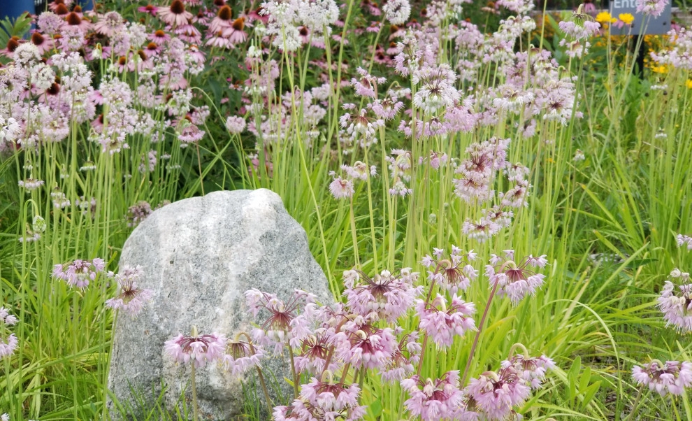 Weesies Bros. Garden Centers & Landscaping - Photo 13