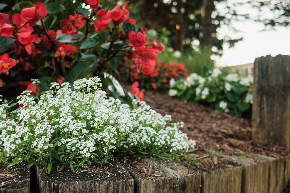 Annual Plantings by Weesies Bros. Garden Centers & Landscaping - Photo 2