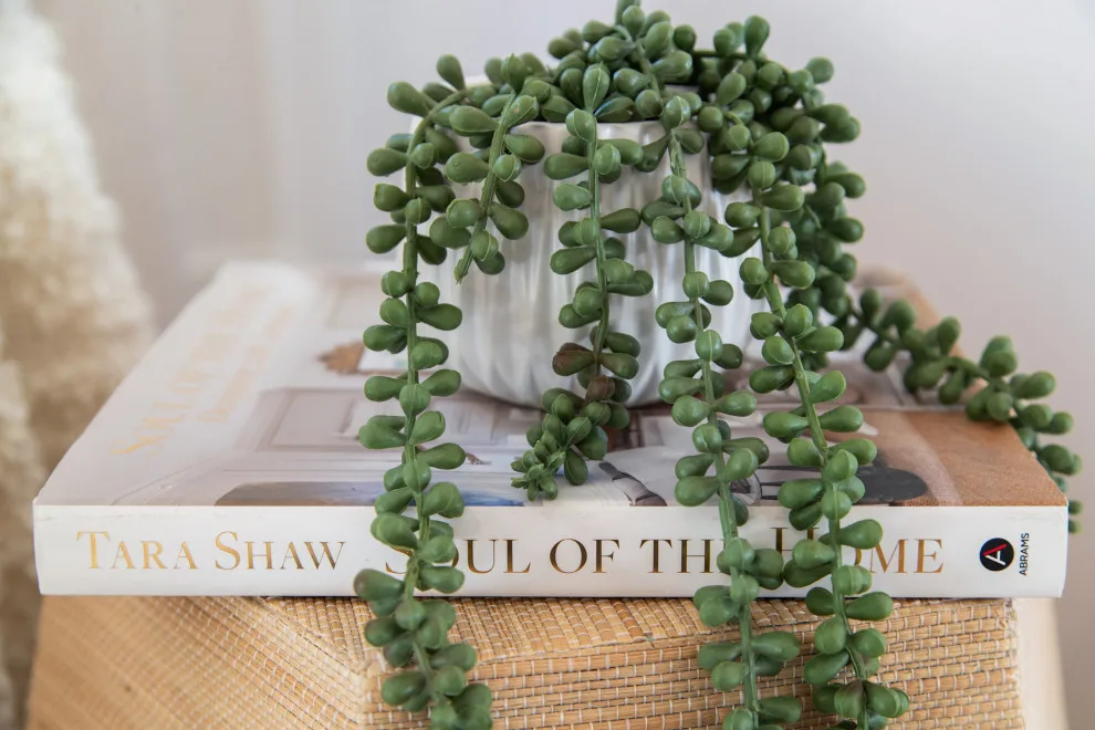 Stone Arch by MAR JENNINGS/S&J Multimedia LLC - Photo 5
