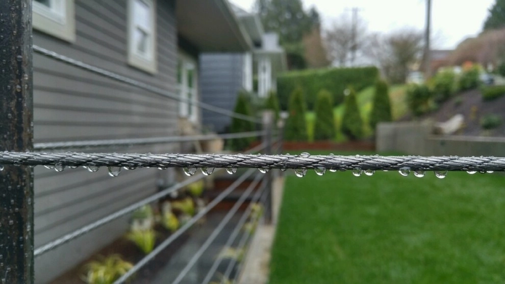 Leschi Landscape Renovation by West Edge Landworks LLC - Photo 3