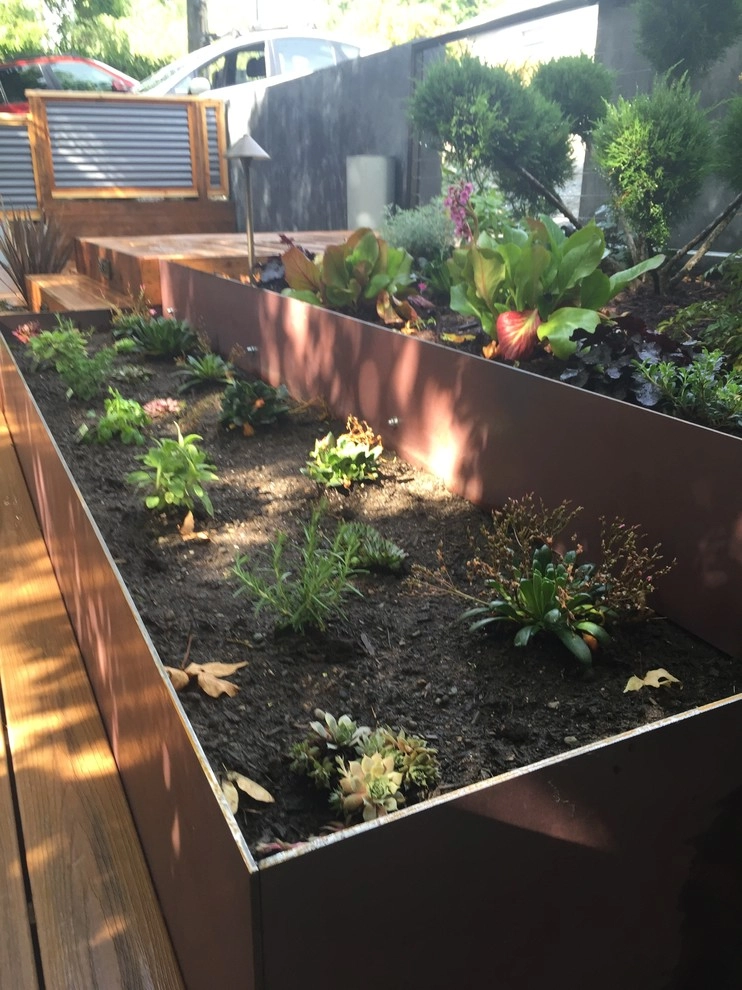 Lake City Landscape Renovation by West Edge Landworks LLC - Photo 9