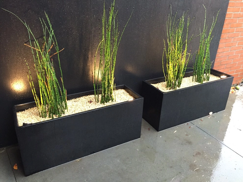 Kirkland Landscape Renovation by West Edge Landworks LLC - Photo 8