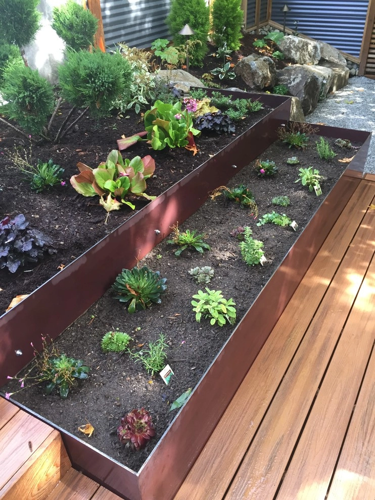 North Seattle Landscape Renovation by West Edge Landworks LLC - Photo 7