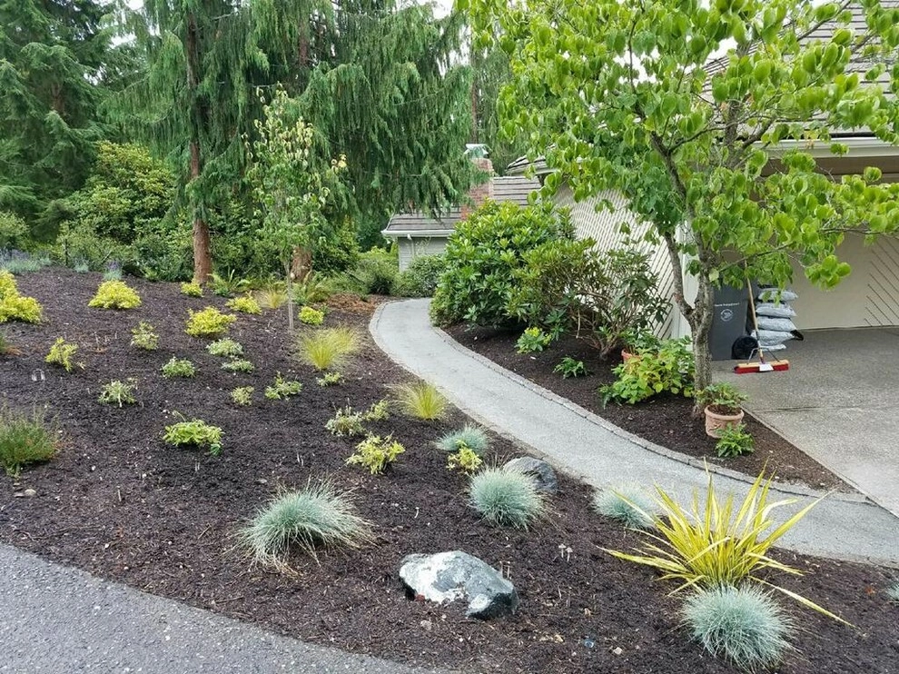Lake Sammamish Landscape Renovation by West Edge Landworks LLC - Photo 10