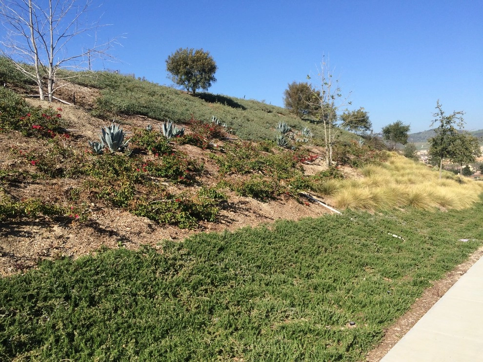 Western Landscape Maintenance Plus - Photo 2