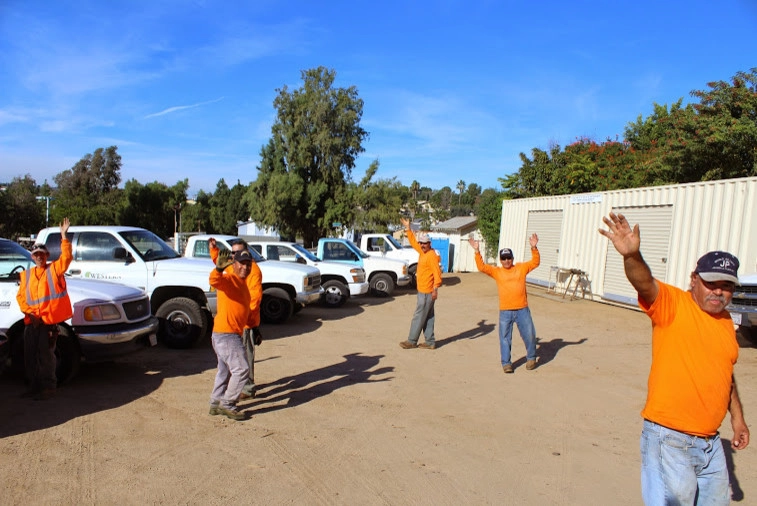 Western Landscape Maintenance Plus - Photo 7