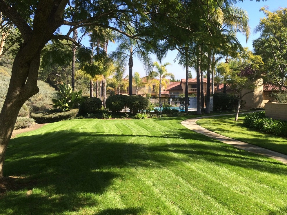 Western Landscape Maintenance Plus - Photo 9
