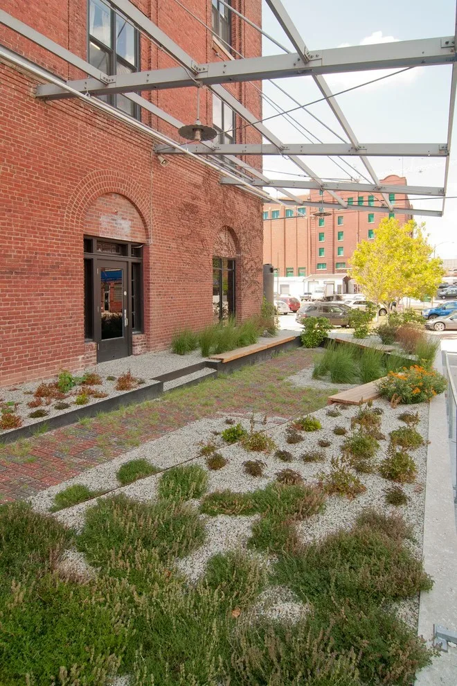 Bemis Contemporary Arts Center by Actual Architecture Company - Photo 6