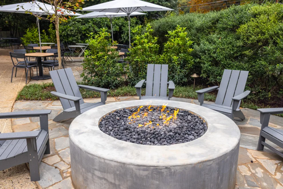 Chastain Project by Norwood Architects - Photo 6