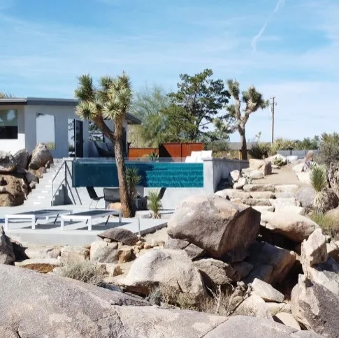 Kolu: Joshua Tree by Wolfgang Pichler Design Inc. - Photo 6
