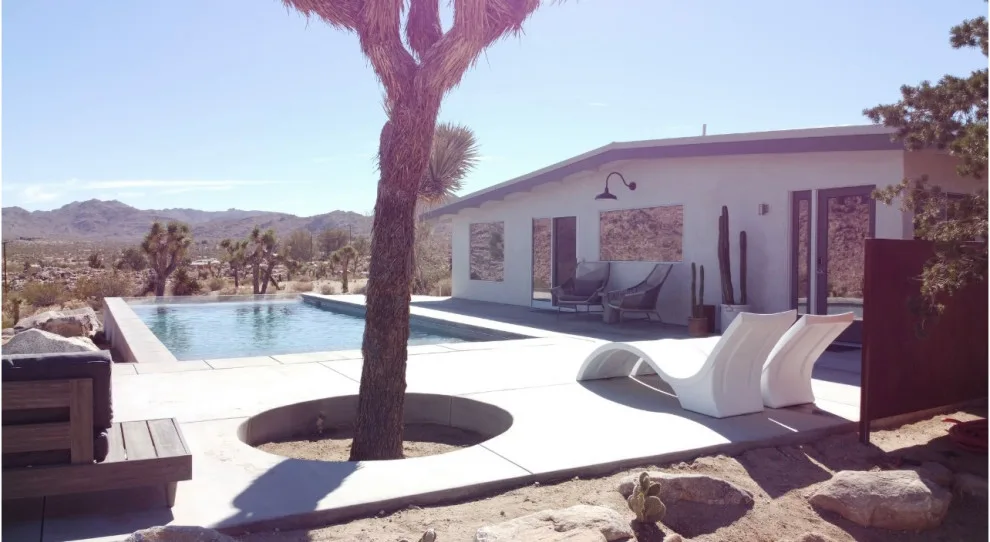 Kolu: Joshua Tree by Wolfgang Pichler Design Inc. - Photo 11