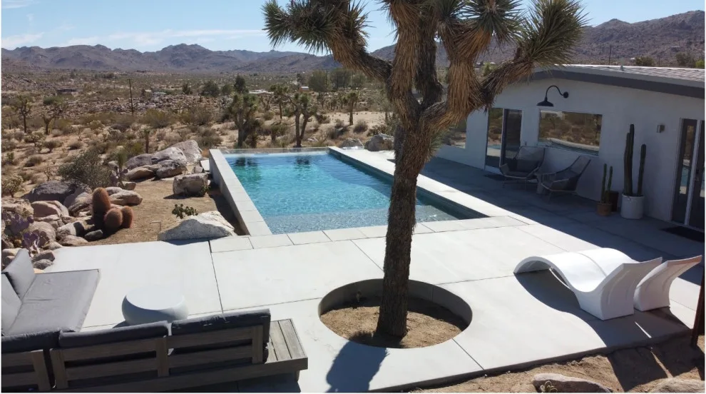 Kolu: Joshua Tree by Wolfgang Pichler Design Inc. - Photo 9