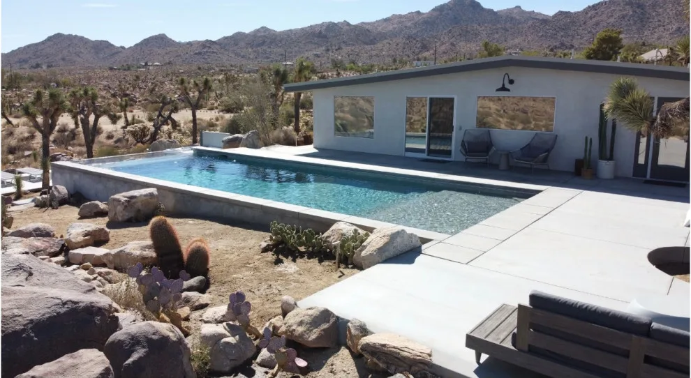 Kolu: Joshua Tree by Wolfgang Pichler Design Inc. - Photo 8