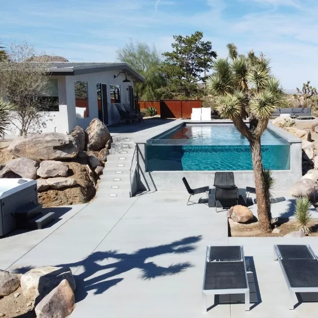Kolu: Joshua Tree by Wolfgang Pichler Design Inc. - Photo 7