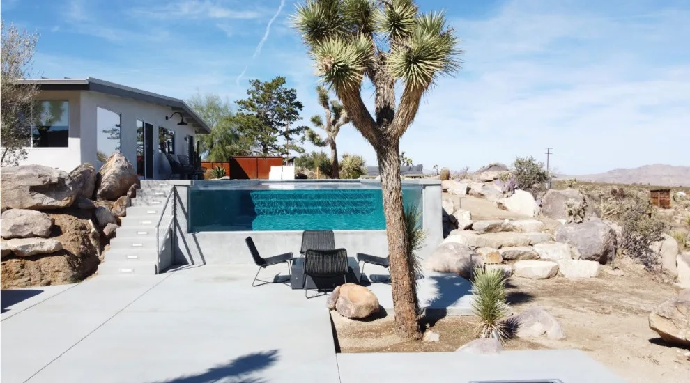 Kolu: Joshua Tree by Wolfgang Pichler Design Inc. - Photo 3