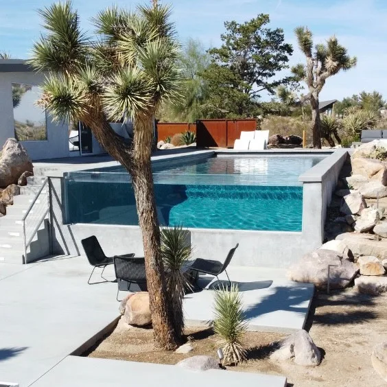 Kolu: Joshua Tree by Wolfgang Pichler Design Inc. - Photo 10