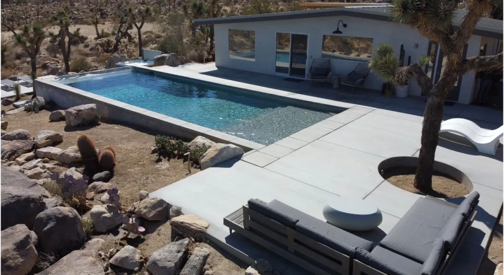 Kolu: Joshua Tree by Wolfgang Pichler Design Inc. - Photo 4