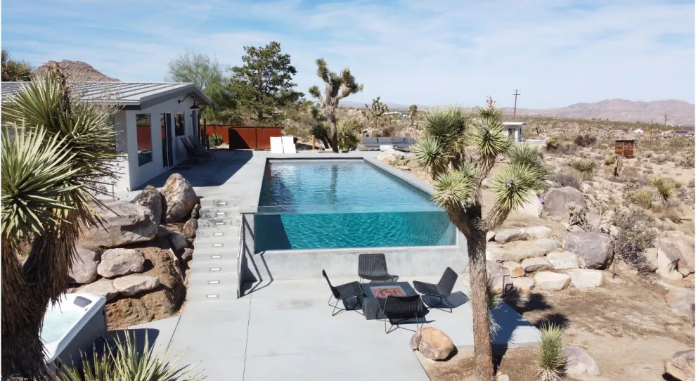Kolu: Joshua Tree by Wolfgang Pichler Design Inc. - Photo 2