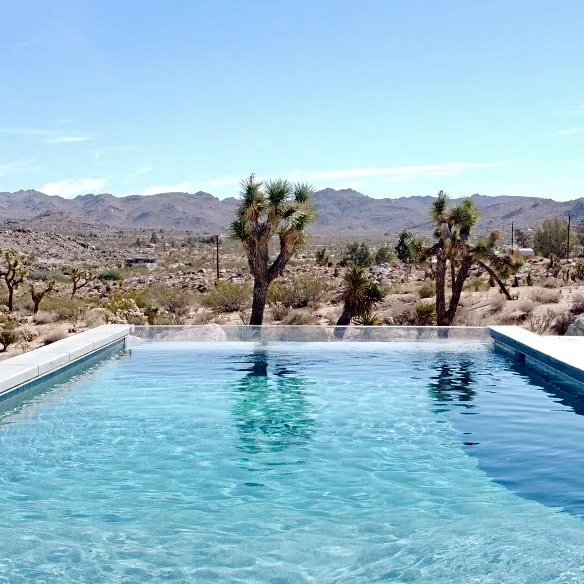 Kolu: Joshua Tree by Wolfgang Pichler Design Inc. - Photo 13