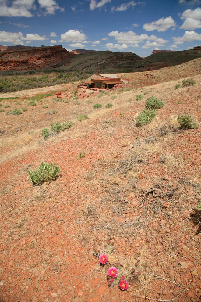 Land + Shelter - Photo 2