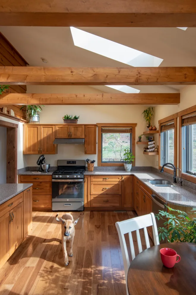 Roaring Paws by Longhouse Architects - Photo 7