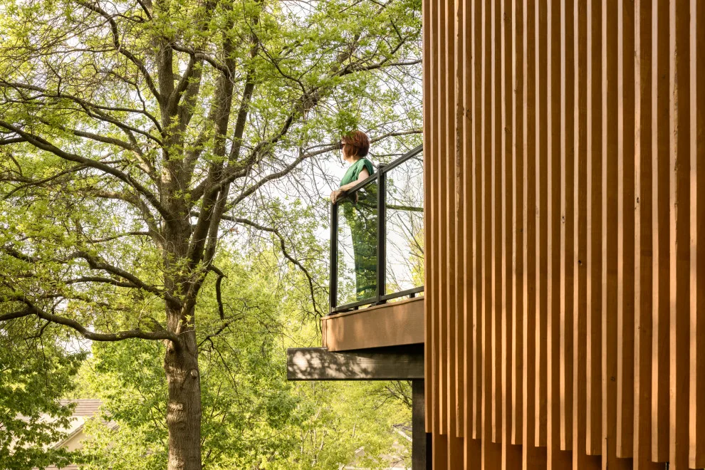 Woodland Path Treehouse by Herron + Partners - Photo 7
