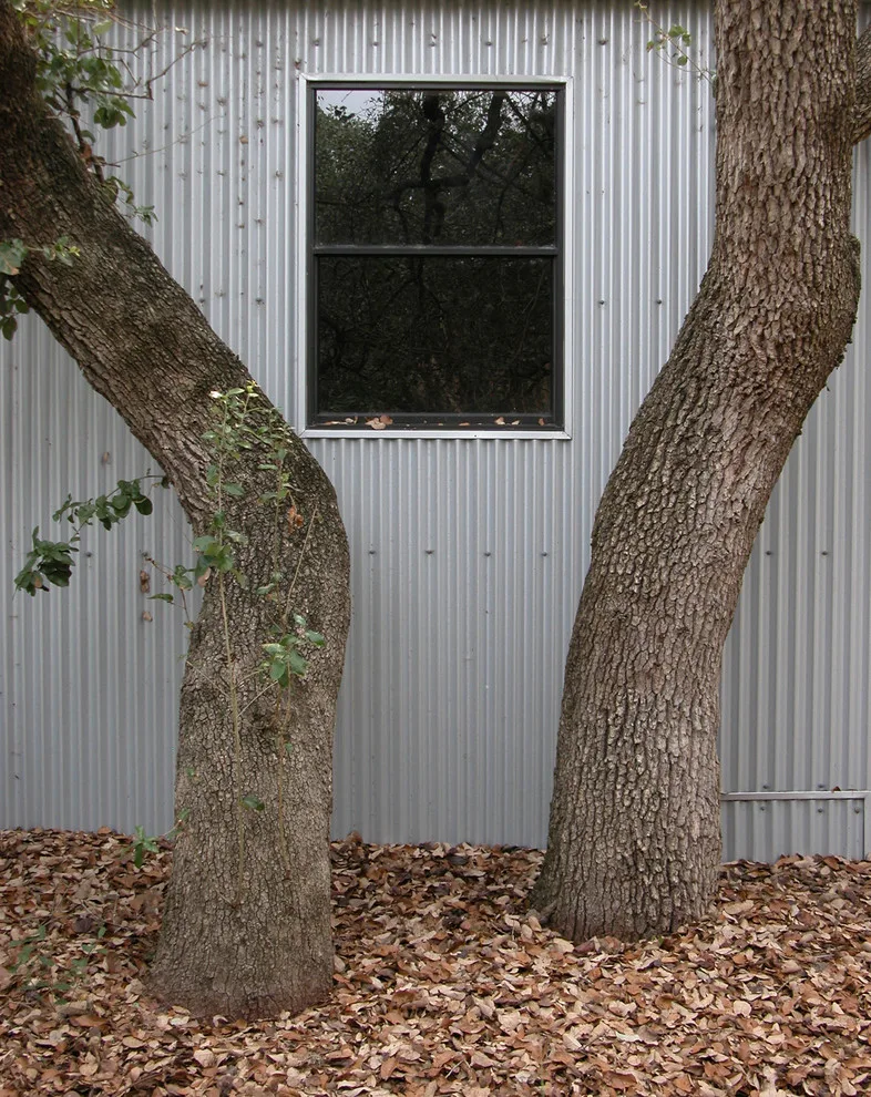 Renovation of Trailer House by Ignacio Salas-Humara Architect LLC - Photo 5