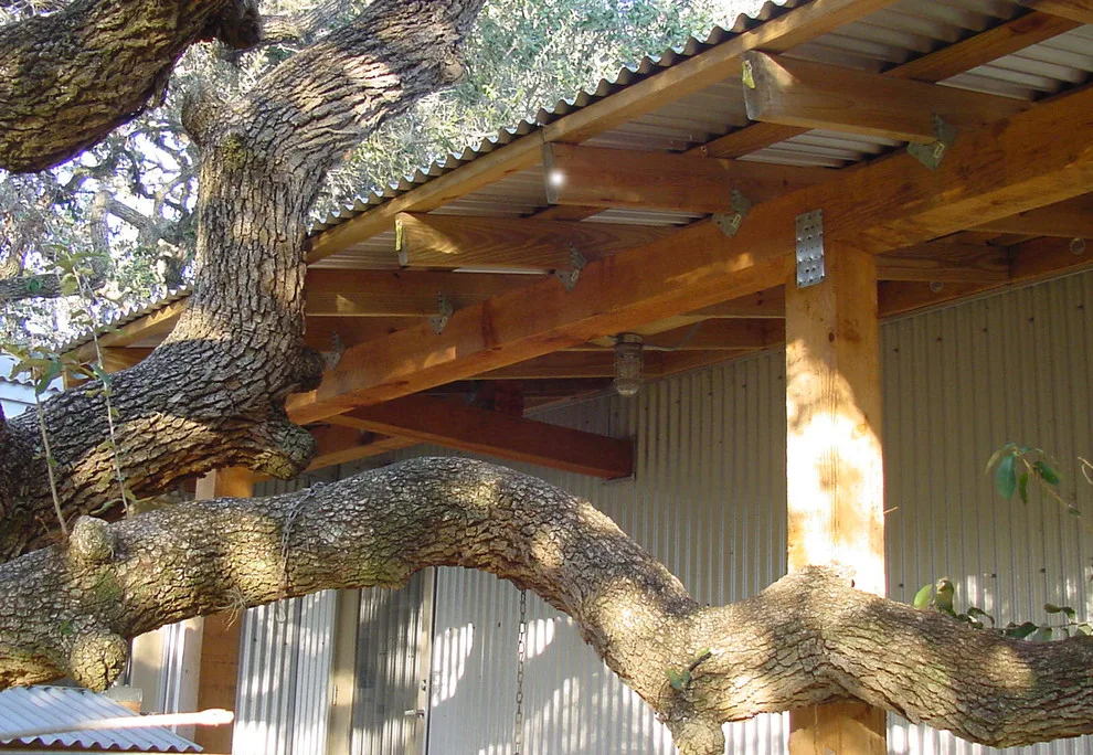 Renovation of Trailer House by Ignacio Salas-Humara Architect LLC - Photo 18