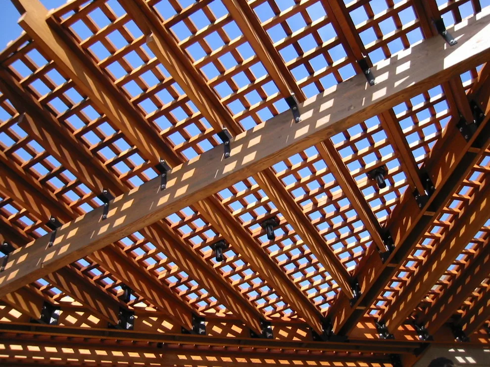 Trellis Expansion by AS-Built Studio - Photo 8